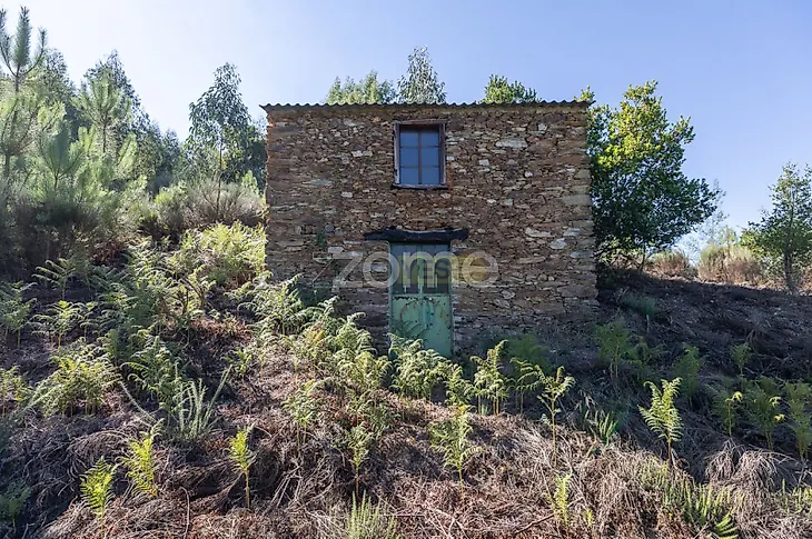main-listing-picture-0