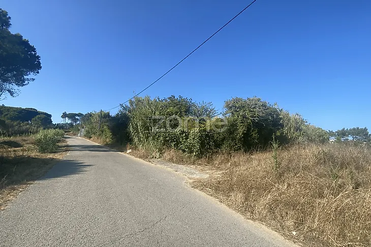 main-listing-picture-0
