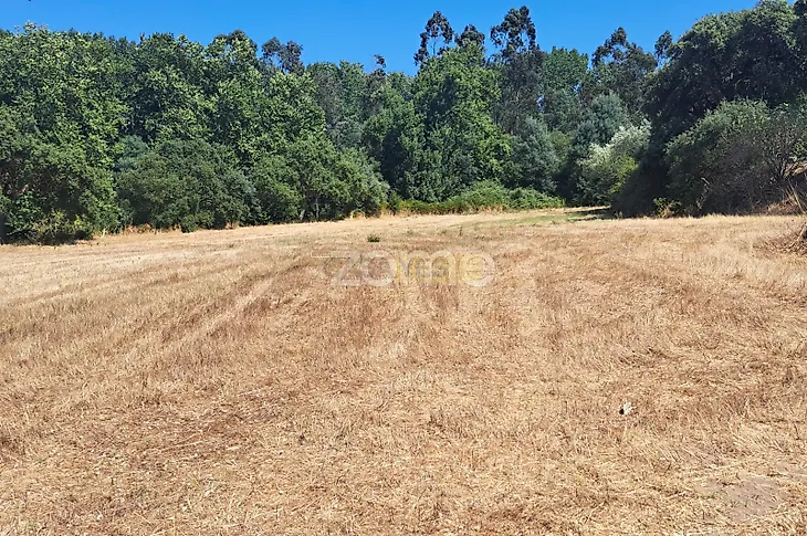 main-listing-picture-0