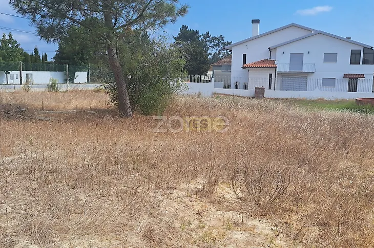 main-listing-picture-0