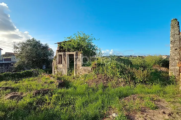 main-listing-picture-0