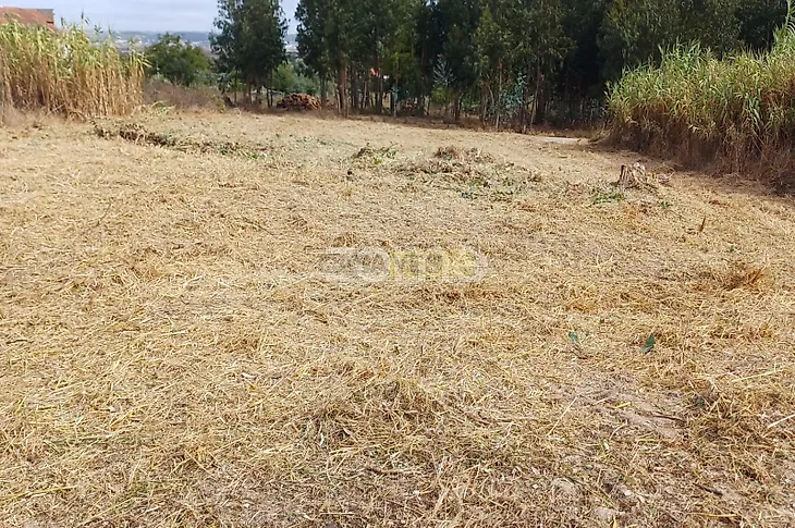 main-listing-picture-0