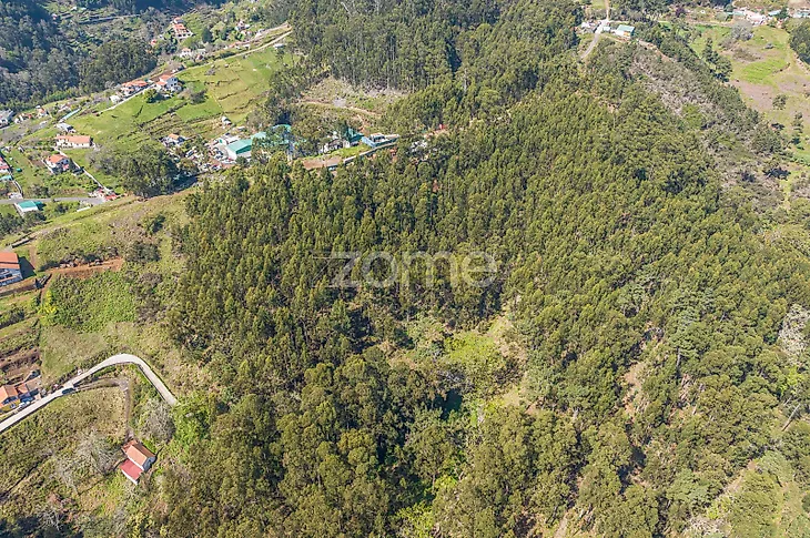 main-listing-picture-0
