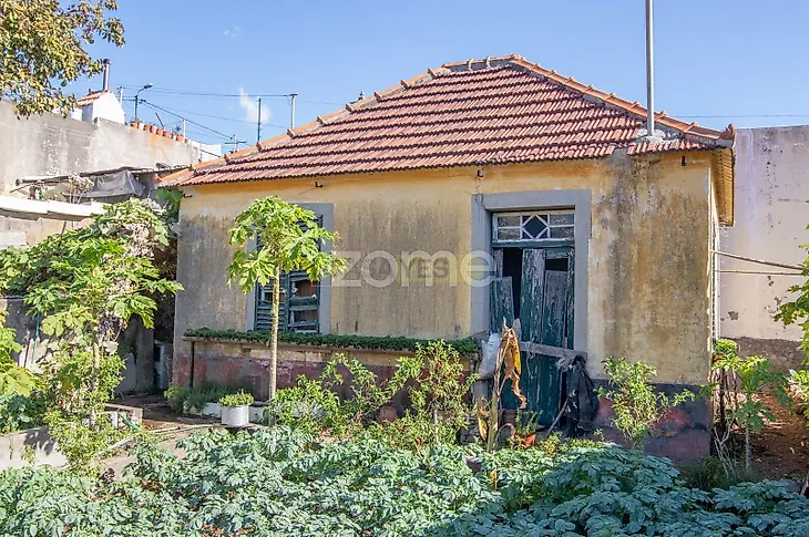 main-listing-picture-0