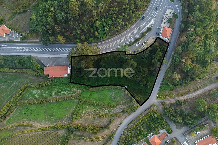 main-listing-picture-0