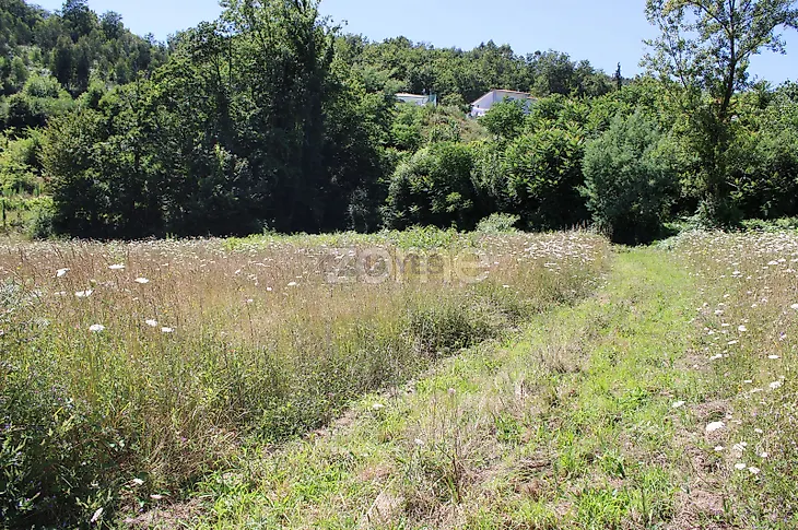 main-listing-picture-0