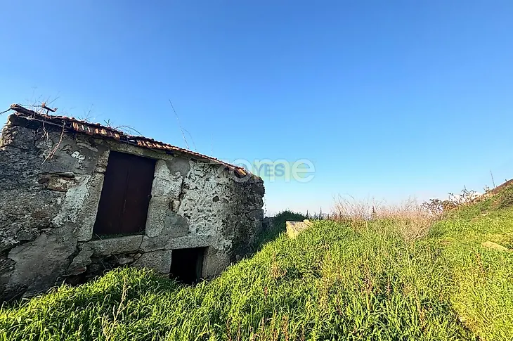 main-listing-picture-0
