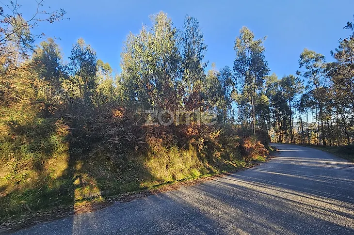 main-listing-picture-0