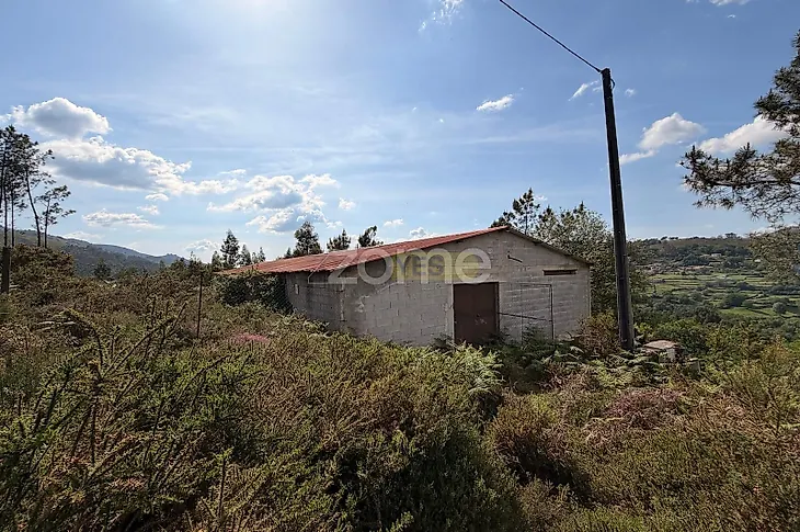 main-listing-picture-0