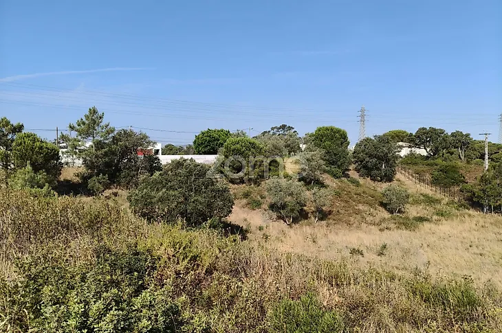 main-listing-picture-0