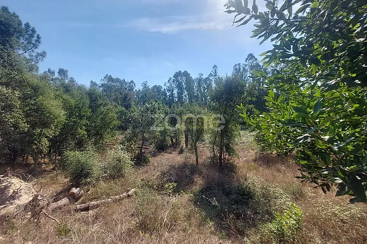 main-listing-picture-0