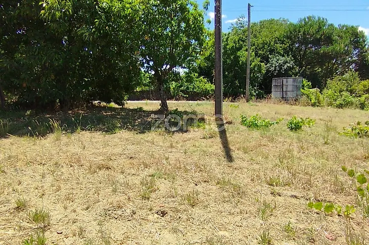 main-listing-picture-0