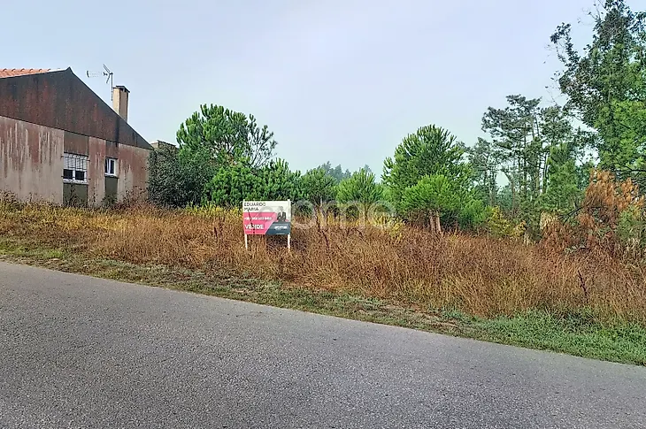 main-listing-picture-0