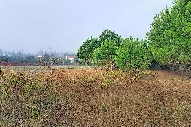 main-listing-picture-0