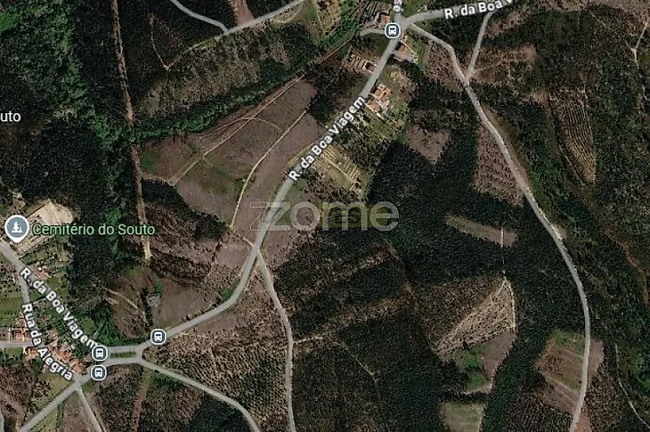 main-listing-picture-0