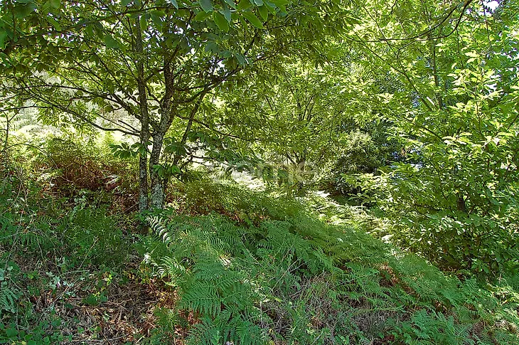 main-listing-picture-0