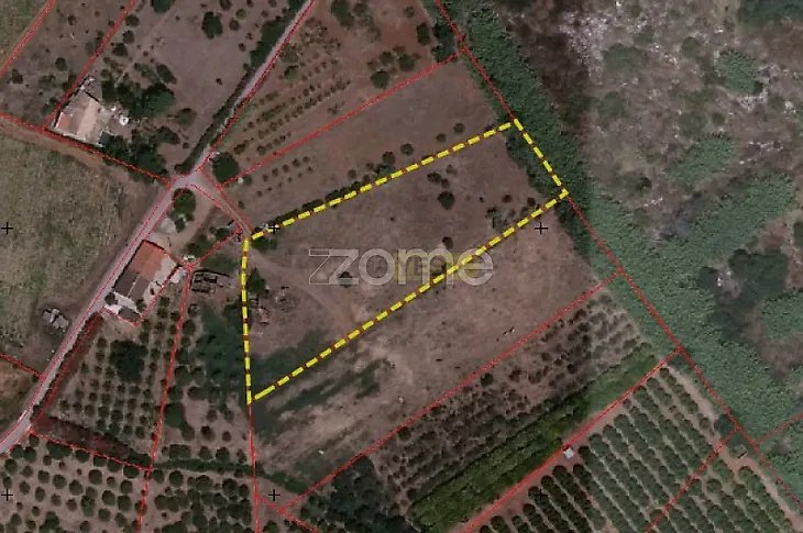 main-listing-picture-0