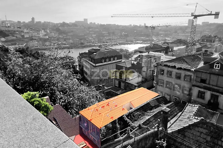 main-listing-picture-0