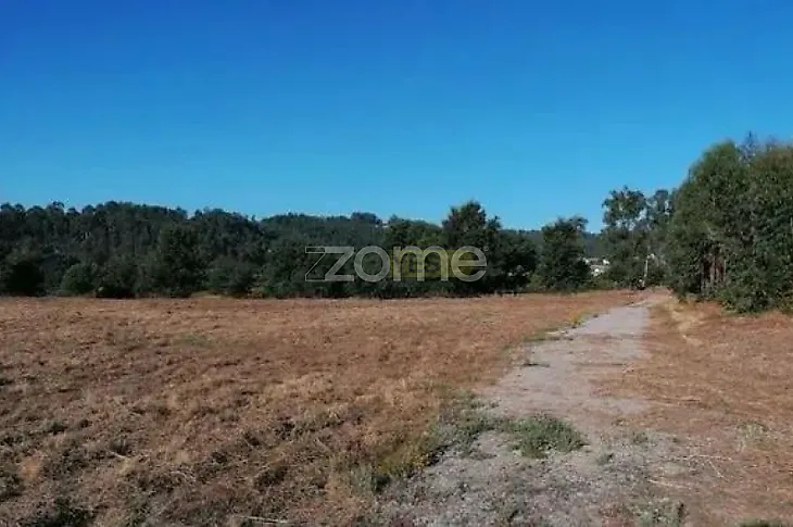main-listing-picture-0