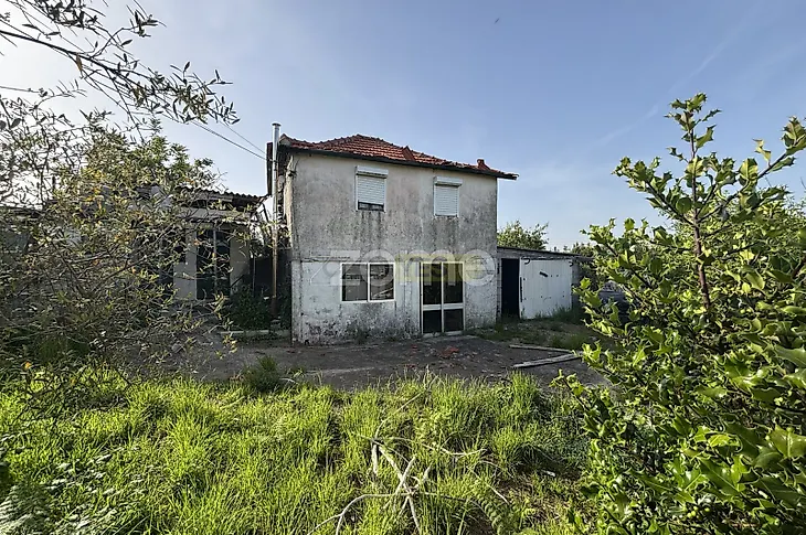 main-listing-picture-0