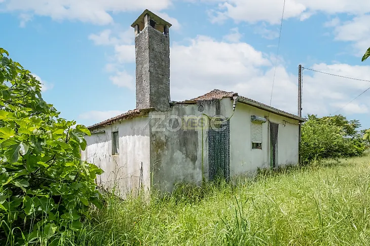 main-listing-picture-0