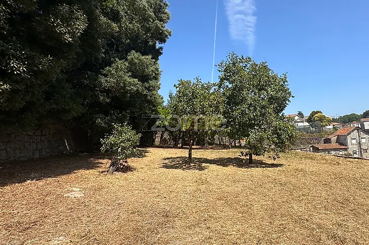 main-listing-picture-0