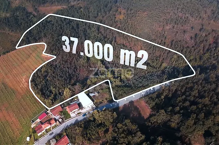 main-listing-picture-0