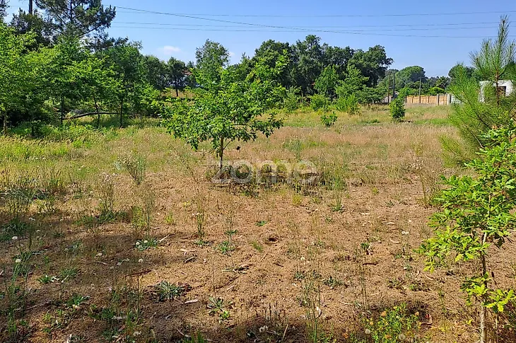 main-listing-picture-0