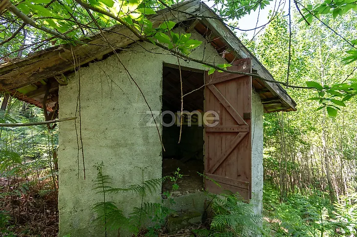 main-listing-picture-0