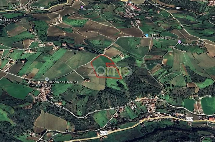 main-listing-picture-0
