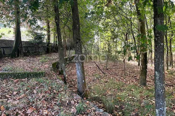 main-listing-picture-0
