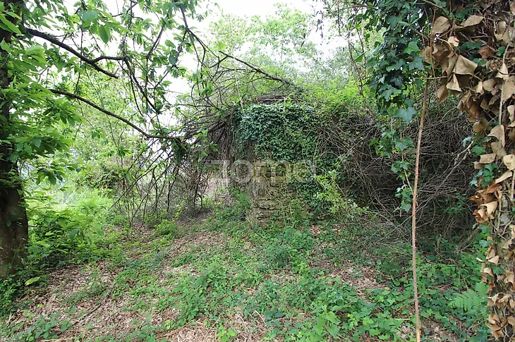 main-listing-picture-0