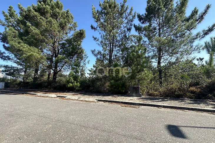 main-listing-picture-0