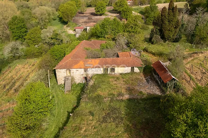 main-listing-picture-0