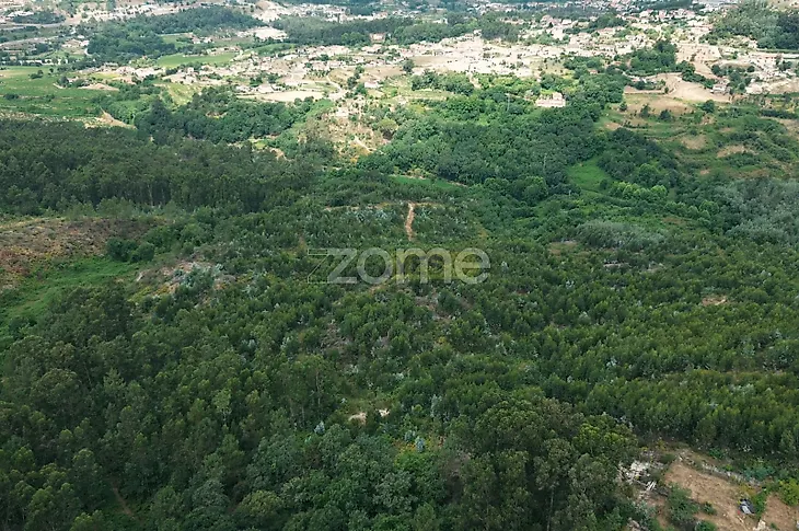 main-listing-picture-0