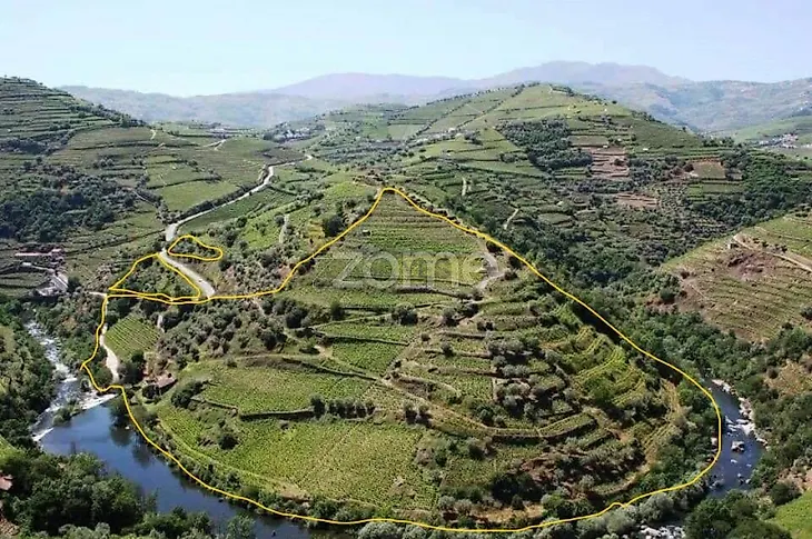 main-listing-picture-0