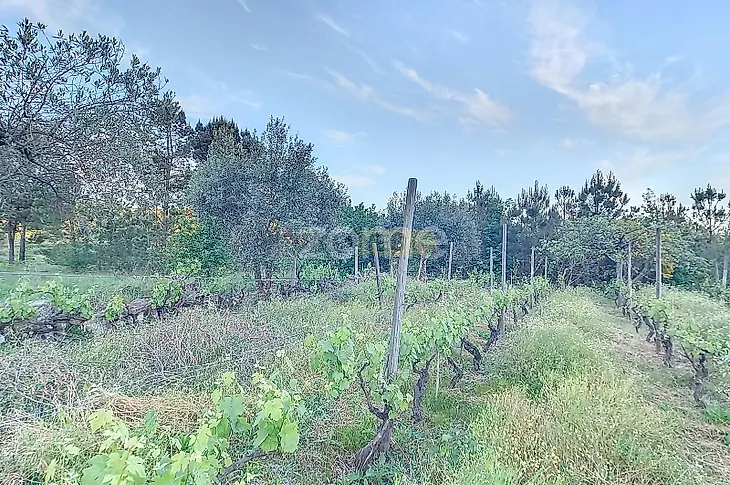 main-listing-picture-0
