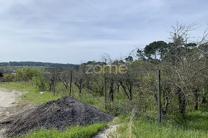 main-listing-picture-0