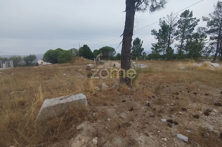 main-listing-picture-0