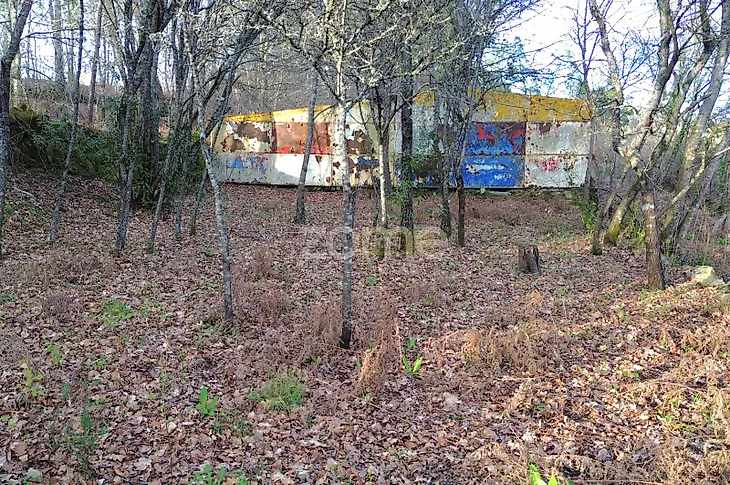 main-listing-picture-0