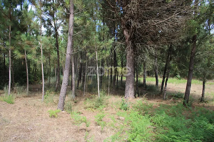 main-listing-picture-0