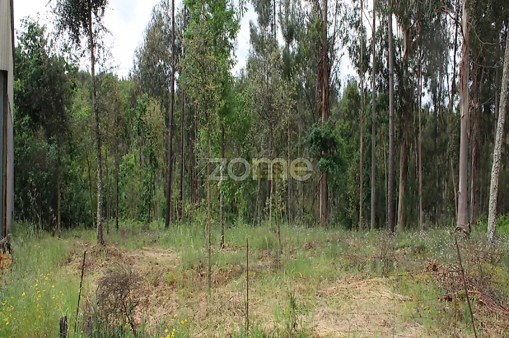 main-listing-picture-0