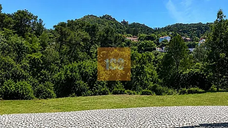 image-YmsBrShSbD-0