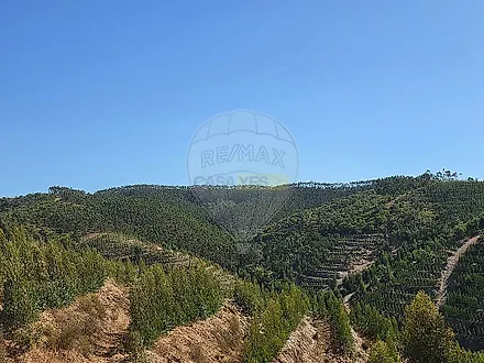 image-CfUYUQGrApp-0