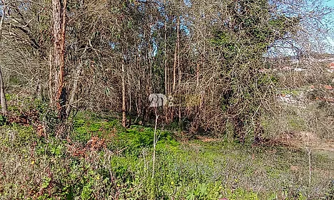 image-ALS586QQRdl-0