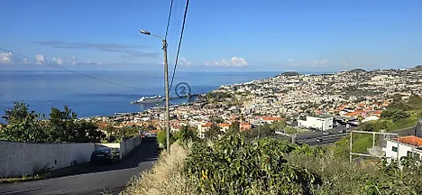 image-3tQ8g4U5N5A-0