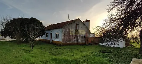 image-c8YGBDQzXm-0