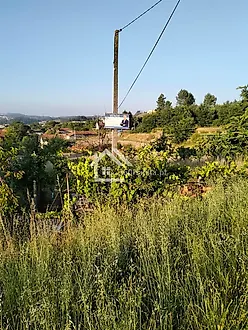 image-9s3SC09Sz5X-0