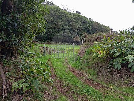 Terreno em Vila do Porto
