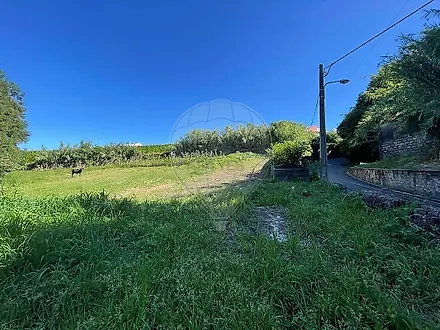 image-3MnbLsWDwnZ-0